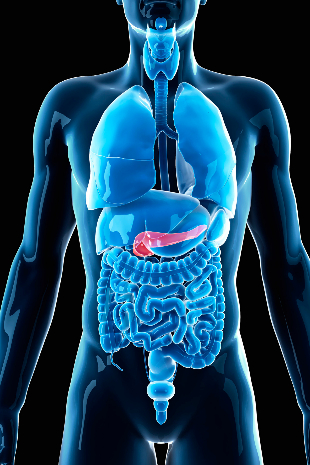 Pancreatic Cancer Immunotherapy Treatment